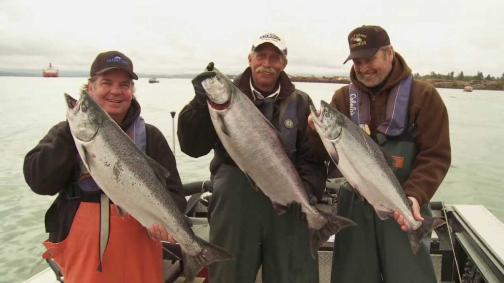 Go West For Salmon, The Sport Shows